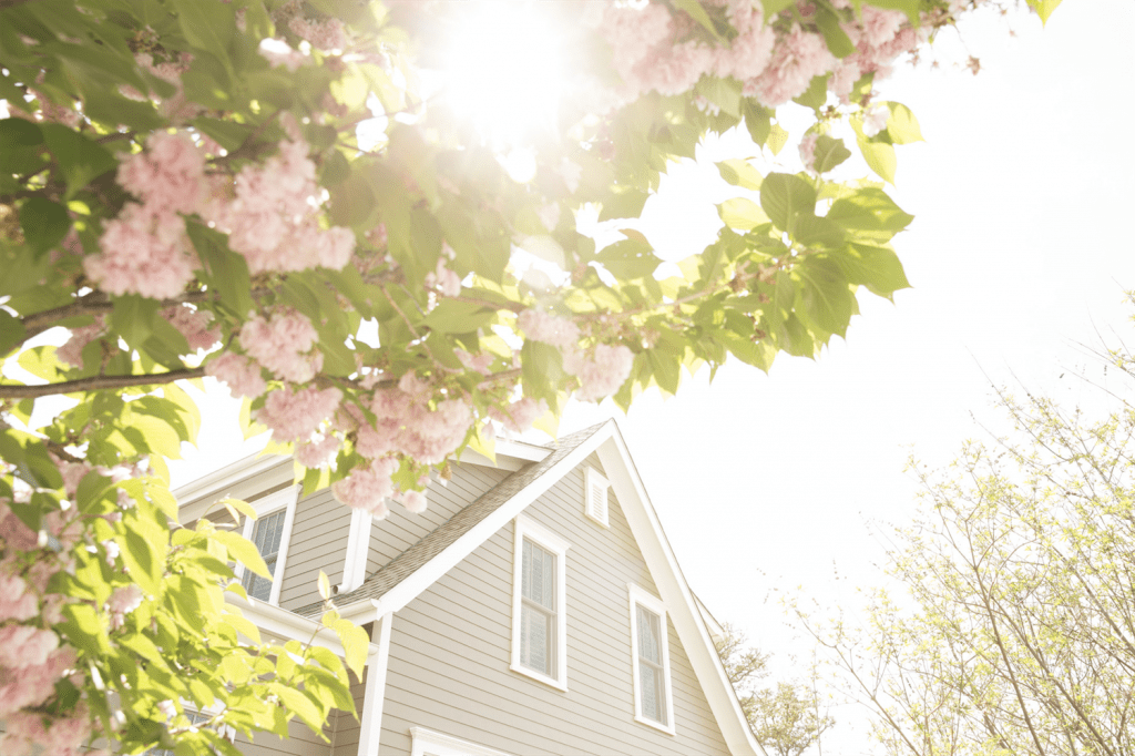 siding replacement littleton