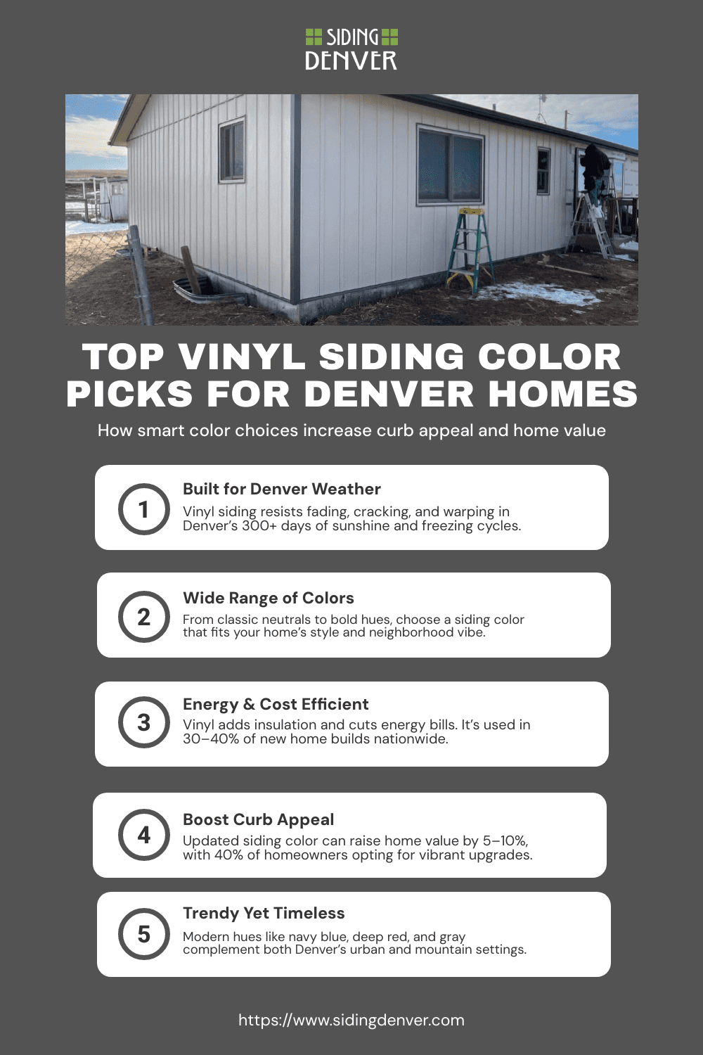 Vinyl Siding Colors in Denver Infographic